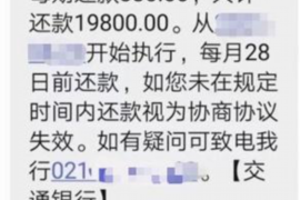 新安债务清欠服务